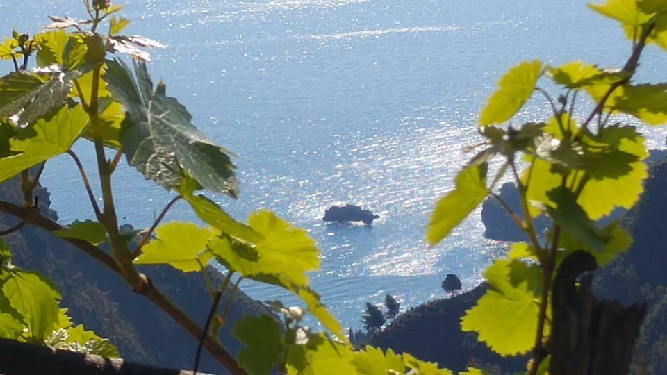 Casa Il Faro Villa Con Piscina Castelmola Buitenkant foto